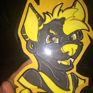 Meet your Posher, Brock